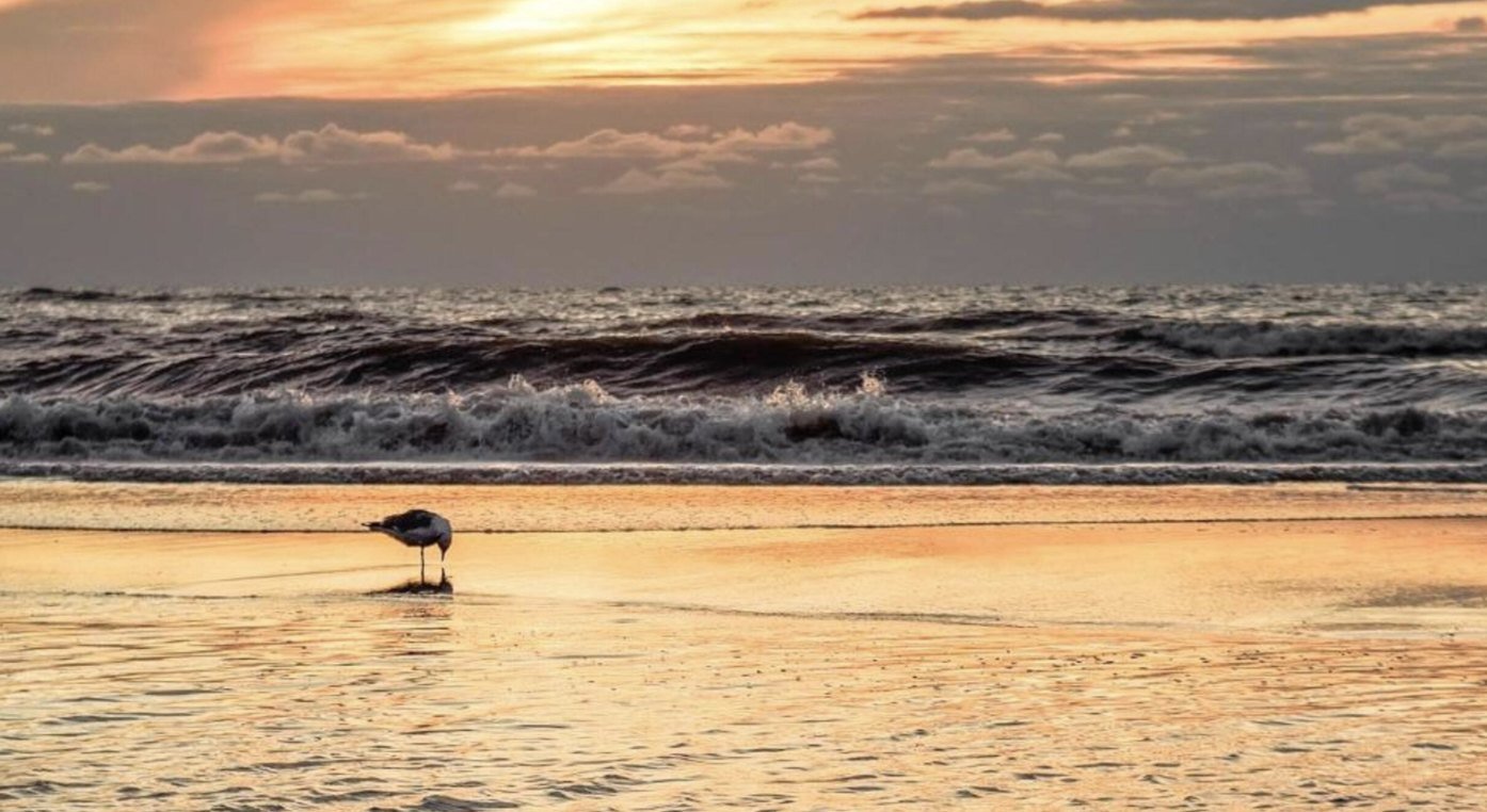 Strand bij Noordwijk